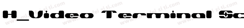 H_Video Terminal Screen Regular字体转换